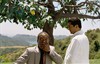 Клифф Кертис (Cliff Curtis)