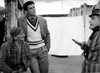 Витторио Гассман (Vittorio Gassman)