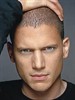 Вентворт Миллер (Wentworth Miller)