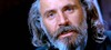 Раде Шербеджия (Rade Šerbedžija)