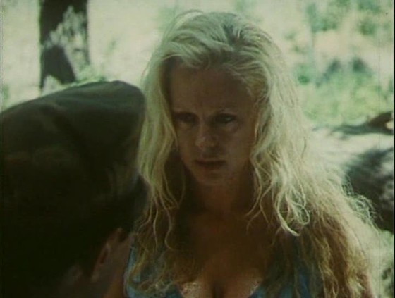 Елена Миро Книга