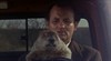 Билл Мюррей (Bill Murray)