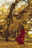 Мэгги Чун (Maggie Cheung)