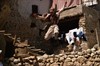 Анастасия Панина