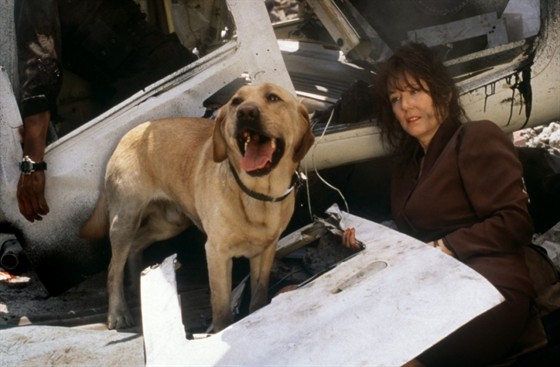 Мэри МакДоннелл (Mary McDonnell)