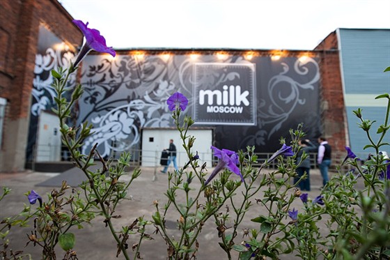 Milk