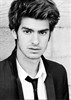 Эндрю Гарфилд (Andrew Garfield)