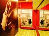 5Life, фото, фотография