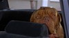 Тернер и Хуч (Turner & Hooch)