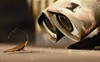 ВАЛЛ*И (WALL·E)