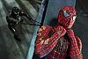 Человек-паук-3: Враг в отражении (Spider-Man 3)