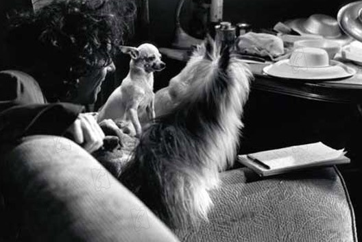 Эд Вуд (Ed Wood)