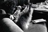 Эд Вуд (Ed Wood)