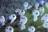Принцесса Мононоке (Mononoke-hime)