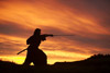Последний самурай (The Last Samurai)