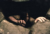 Звонок-2 (The Ring Two)